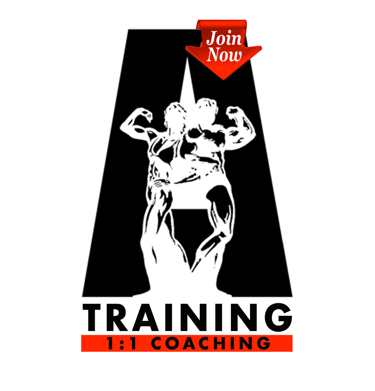 1:1 PT (1 session) + Free gympass